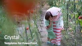  Presentation with muslim - Presentation theme having islam plants - young arabian muslim girl background and a  colored foreground