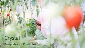  Presentation with young child brain development - Presentation theme featuring islam plants - young arabian muslim girl background and a mint green colored foreground