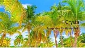  Presentation with luxury resort nature - PPT theme enhanced with island background fresh palm tree background and a gold colored foreground