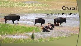  Presentation with salt lake city - PPT theme featuring island near salt lake city background and a mint green colored foreground