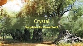  Presentation with olive grove - Cool new theme with island-of-zakynthos-very-old backdrop and a tawny brown colored foreground
