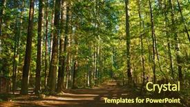  Presentation with islam and forest - Presentation having island provincial park british columbia background and a tawny brown colored foreground