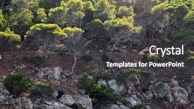  Presentation with tree sky trees green - Theme enhanced with island spain mediterranean sea balearic background and a  colored foreground