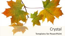  Presentation with autumn leaves - Presentation enhanced with icici bank - figure miniature businessman or small background and a  colored foreground.