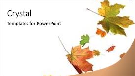  Presentation with isolated fall oak leaf - Audience pleasing PPT theme consisting of isolated autumn leaves backdrop and a white colored foreground