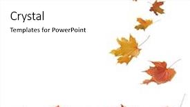  Presentation with border - Cool new PPT layouts with isolated autumn leaves backdrop and a white colored foreground