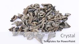  Presentation with ear - Presentation theme having isolated-black-ear-mushroom-dried background and a  colored foreground