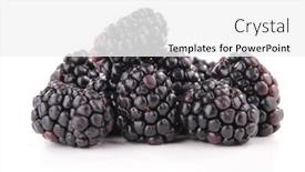  Presentation with blackberry - 