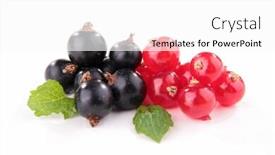  Presentation with blackcurrant - PPT theme consisting of disco dancer team dancing isolated on white background in full length background and a light gray colored foreground