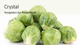  Presentation with history earth globe isolated white - Presentation design with isolated brussels sprouts on white background and a soft green colored foreground
