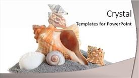  Presentation with sea shell - Beautiful presentation theme featuring isolated conch sea shell stack on sand backdrop and a white colored foreground