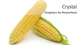  Presentation with element - Presentation theme enhanced with isolated corn element of design background and a white colored foreground