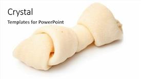  Presentation with bone - Amazing presentation design having isolated dog bone backdrop and a white colored foreground