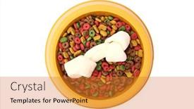  Presentation with dog food - 