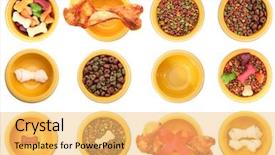 Presentation with foods - Theme with isolated dog bowls with different background and a yellow colored foreground