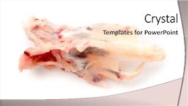  Presentation with frozen foods - Amazing slides having isolated frozen chicken backdrop and a  colored foreground