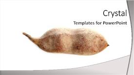  Presentation with tamarind fruit - Slide deck consisting of isolated fruit tamarind tamarindus indica legumes background and a white colored foreground