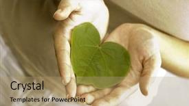  Presentation with heart hands - Presentation theme enhanced with isolated hands holding a heart background and a coral colored foreground