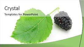  Presentation with element - Theme having isolated mulberry element of design background and a white colored foreground
