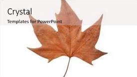  Presentation with dry - Colorful slide set enhanced with isolated on a white bacground backdrop and a lemonade colored foreground