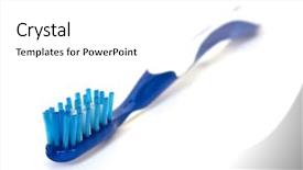  Presentation with octopus on isolated white - Presentation having isolated on a white background background and a  colored foreground