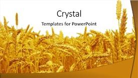  Presentation with blank whiteboard isolated on white - Cool new slide set with isolated on a white background backdrop and a white colored foreground