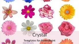  Presentation with heads - Beautiful slides featuring isolated on a white background backdrop and a coral colored foreground