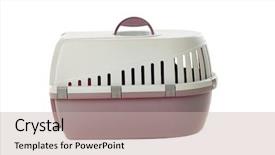  Presentation with travel animal - Presentation theme having isolated on a white background background and a soft green colored foreground