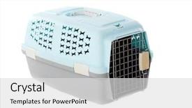  Presentation with travel animal - Audience pleasing PPT theme consisting of isolated on a white background backdrop and a light gray colored foreground