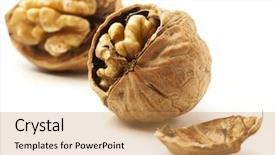  Presentation with nut - Slides consisting of isolated on a white background background and a coral colored foreground