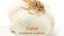  Presentation with garlic garlic garlic bulb - Slide deck consisting of isolated on a white background background and a  colored foreground
