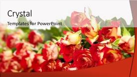  Presentation with bereavement - Presentation featuring isolated on a white background background and a  colored foreground