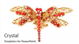  Presentation with elegant green white romantic - Theme featuring isolated on the white background background and a white colored foreground