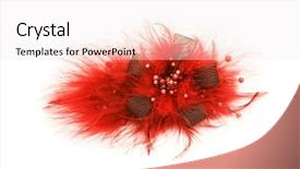  Presentation with elegant - Colorful PPT theme enhanced with isolated on the white background backdrop and a  colored foreground