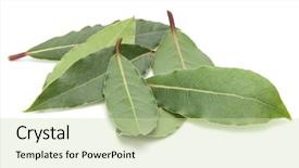  Presentation with leaves - Presentation design featuring isolated on white background cutout background and a soft green colored foreground