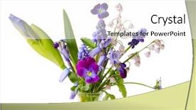  Presentation with purple spring - Amazing slide deck having isolated on white background iris backdrop and a white colored foreground