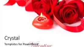  Presentation with flower border - PPT theme enhanced with connect the dots plane puzzle background and a  colored foreground.