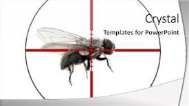  Presentation with crosshairs - Presentation consisting of isolated on white in crosshairs background and a white colored foreground