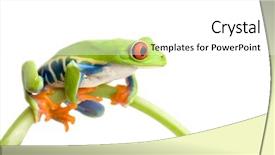  Presentation with embryonic stem cells - Audience pleasing slides consisting of isolated on white red-eye backdrop and a  colored foreground