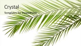  Presentation with date palm - Colorful PPT layouts enhanced with planet earth sweet crust backdrop and a gray colored foreground