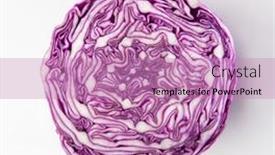  Presentation with cabbage - Audience pleasing PPT theme consisting of isolated-photo-of-sliced-red backdrop and a coral colored foreground