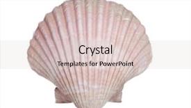  Presentation with sea shell - Presentation theme having isolated-sea-shell-on-white background and a lemonade colored foreground