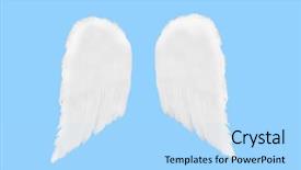  Presentation with angel wings - Slide set consisting of isolated separated angel wings background and a light blue colored foreground