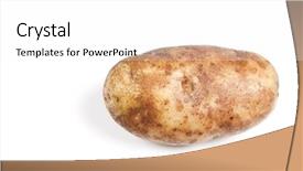  Presentation with isolated paw prints over white - Amazing theme having isolated single potato over white backdrop and a  colored foreground