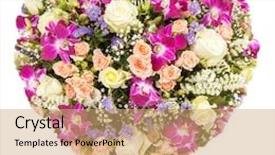  Presentation with heart flowers - Cool new theme with summers flowers heart floral collage backdrop and a coral colored foreground