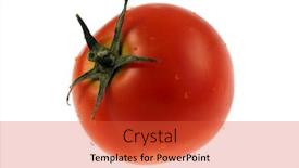  Presentation with tomato - Audience pleasing PPT theme consisting of isolated-tomato-on-a-white backdrop and a red colored foreground