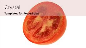  Presentation with tomato - Amazing PPT theme having isolated-tomato-on-a-white backdrop and a coral colored foreground