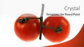  Presentation with tomato - Slide deck consisting of isolated-tomato-on-a-white background and a white colored foreground