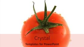  Presentation with tomato - Slides with isolated-tomato-on-a-white background and a red colored foreground