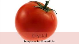 Presentation with tomato - Presentation theme consisting of isolated-tomato-on-a-white background and a red colored foreground